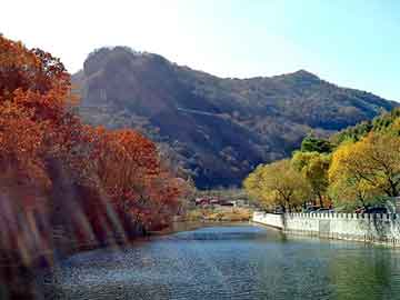 新澳天天开奖资料大全旅游团，供电局待遇